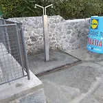 Salus, Maruna *