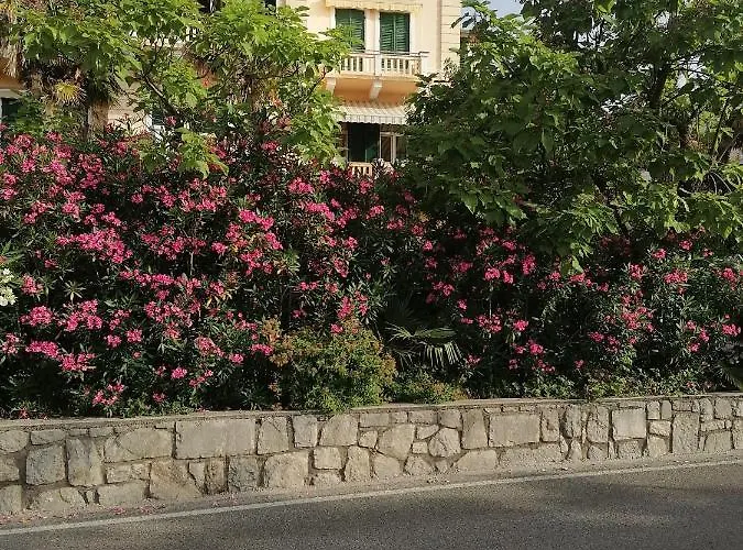 Salus, Maruna Διαμέρισμα