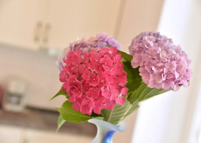 Salus, Maruna Οπατία